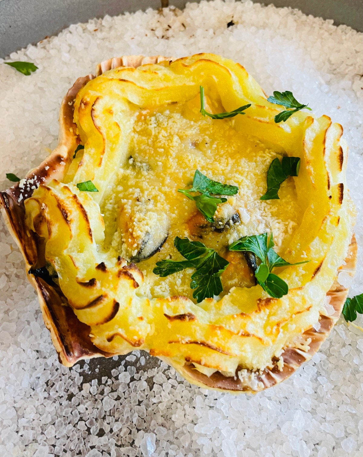 Coquille San Nicola&nbsp;;)